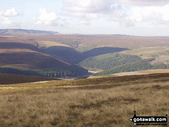 Kinder from Howden Edge