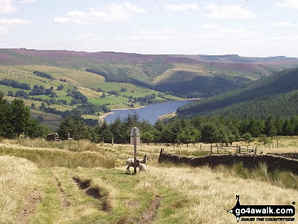 Ladybower Reservoir from nr Alport Castles