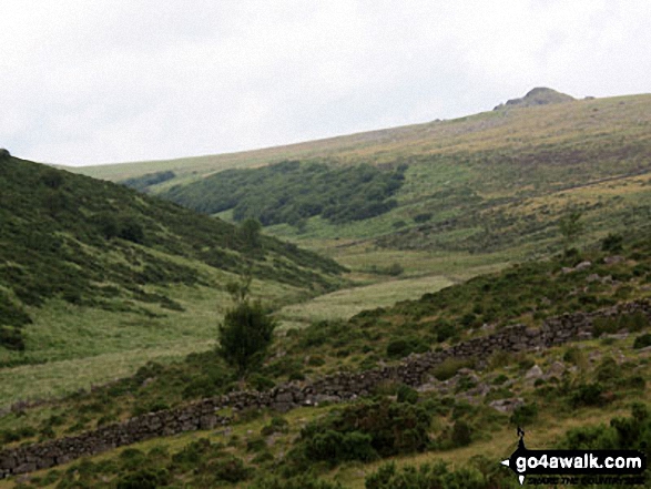 Longaford Tor and Upper West Dart Valley from above Wistman's Wood