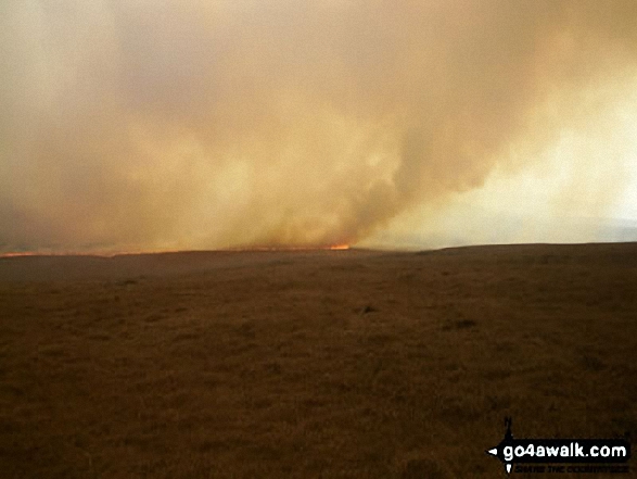 Great Hill, Withnell Moor