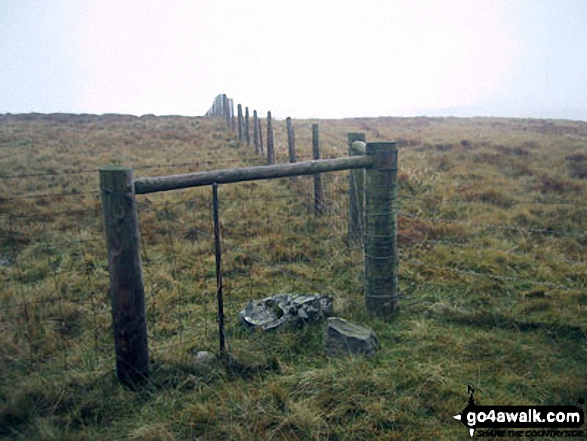 Walk c431 The Wet Sleddale Wainwright Outlying Fells - The fence junction marking the summit of Great Yarlside