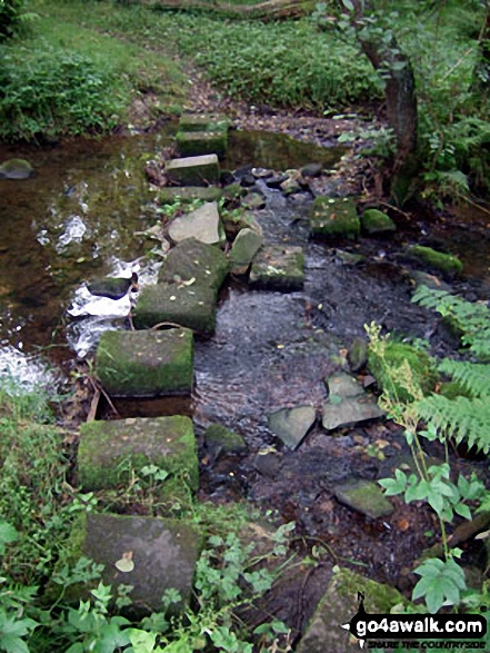 Stepping Stones over Swinden Water