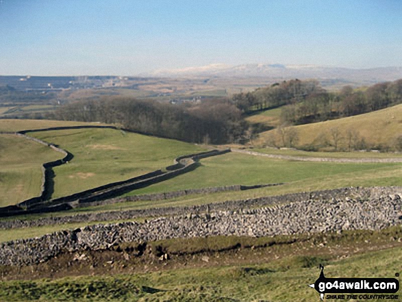 Walk ny143 Pen-y-ghent from Horton in Ribblesdale - Ingleborough from above Brackenbottom