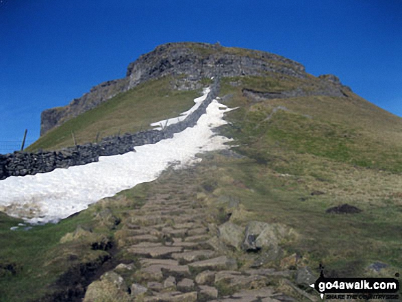 Walk ny101 The Yorkshire Three Peaks from Horton in Ribblesdale - Pen-y-ghent from The Pennine Way on Gavel Rigg