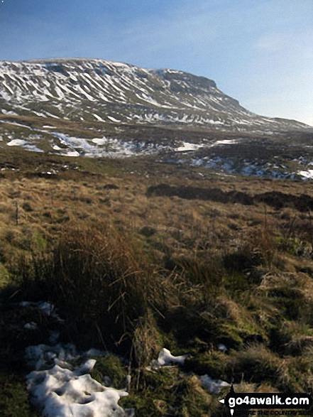 Walk ny143 Pen-y-ghent from Horton in Ribblesdale - Pen-y-ghent from The Pennine Way above Hunt Pot