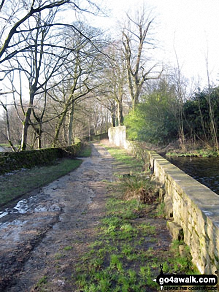 Track through Birchencliff Farm