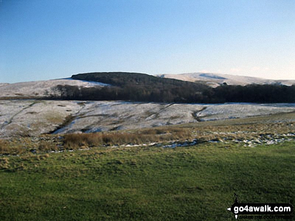 Sponds Hill from Lyme Park Country Park