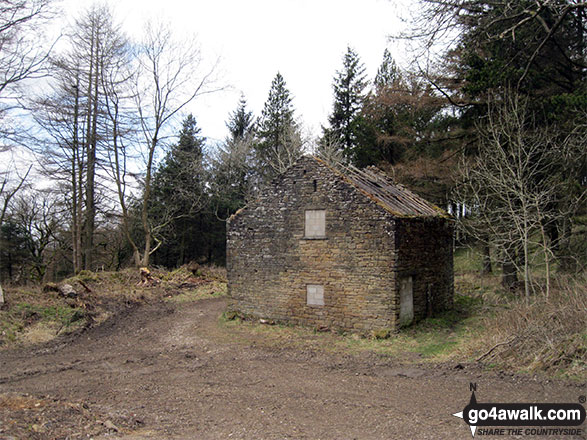 Lone, ruined barn near Ashtreetop in Macclesfield Forest