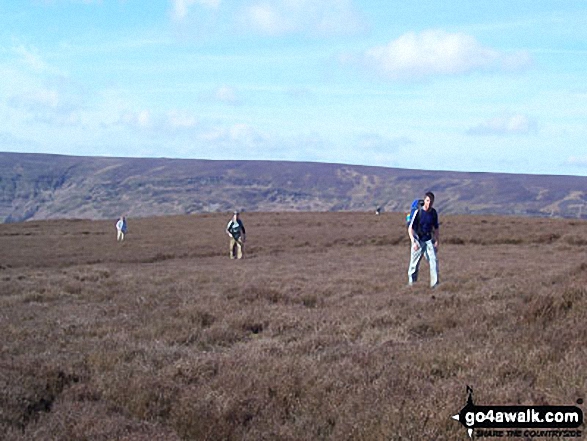 On Farndale Moor