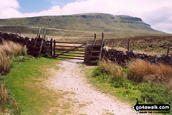 Walk ny101 The Yorkshire Three Peaks from Horton in Ribblesdale - Pen-y-ghent from Brackenbottom on The Yorkshire Three Peaks Challenge