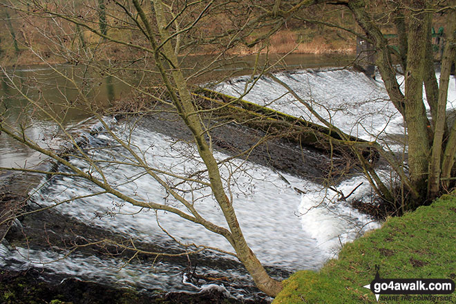 Walk d206 Monsal Dale and Ashford in the Water from Bakewell - Weir on the River Wye, Ashford in the Water