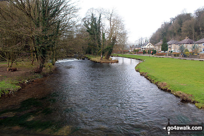 Walk d206 Monsal Dale and Ashford in the Water from Bakewell - The River Wye from Holme Bridge