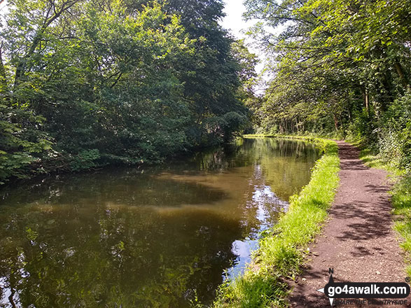 Walk ch120 The Bridgewater Canal from Lymm - The Bridgewater Canal near Thelwall