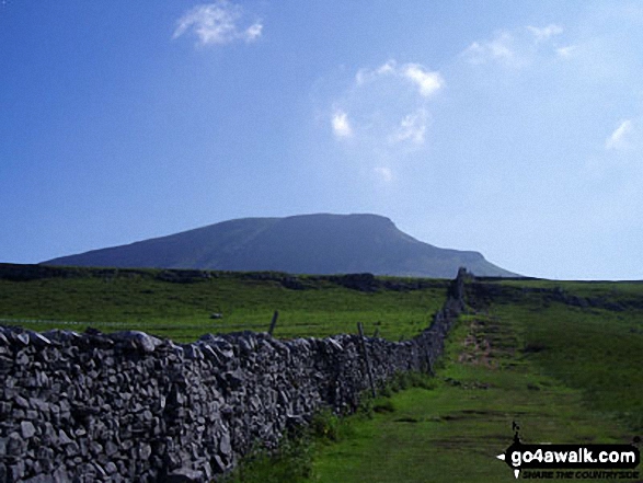 Walk ny146 High Green Field Knott (Cosh Knott) from Horton in Ribblesdale - Pen-y-ghent from the west near Horton in Ribblesdale