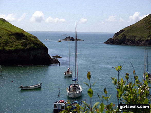 Walk pe128 Aber Rhigian from Newport - Solva Harbour