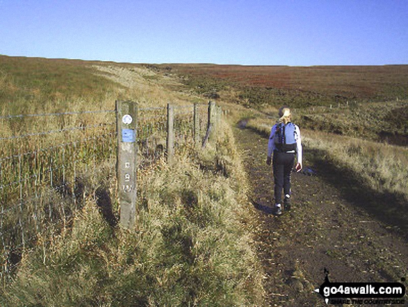 On Pennine Bridleway/Burnley Way heading towards Gorple Stones