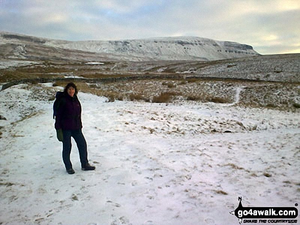 Walk ny101 The Yorkshire Three Peaks from Horton in Ribblesdale - Pen-y-ghent from the Pennine Way near Hunt Pot