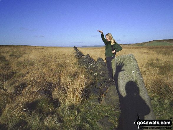 Cheery wave on Extwistle Moor