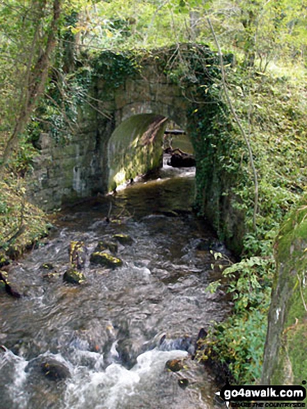 Walk dn117 Ffrith Beach, Dyserth and The Offa's Dyke Path from Prestatyn - Stream above Dyserth Waterfall (Rhaeadr Dyserth)<br>from the North Wales Path, Dyserth