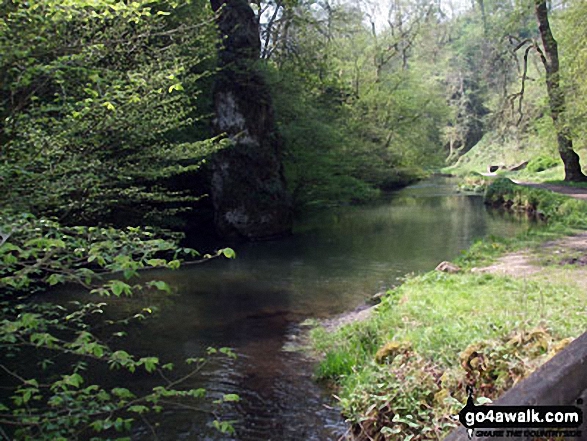 The River Dove in Beresford Dale