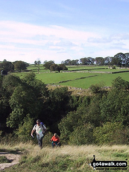 Walk d105 Over Haddon and Lathkill Dale from Monyash - Climbing out of Cales Dale