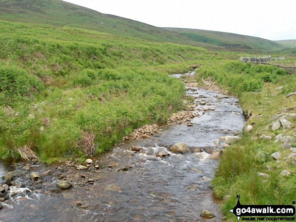 Walk l155 White Hill (Forest of Bowland) and Crutchenber Fell (Bowland Knotts) from Cross of Greet Bridge - The River Hodder