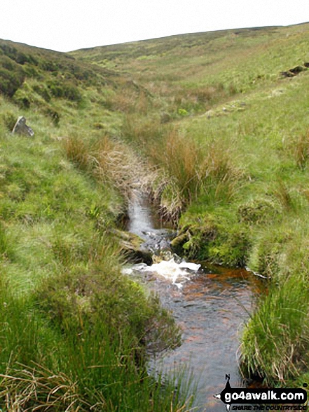 Walk l181 White Hill (Forest of Bowland) from Cross of Greet Bridge - Far Costy Clough