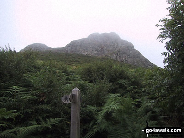 Carn Llidi, St David's Head