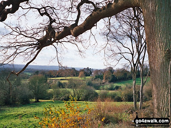 View south west near Ide Hill