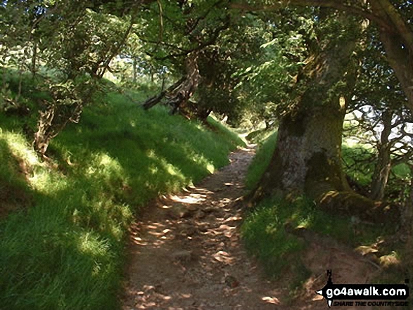 Walk d224 Lose Hill from Edale - Ollerbrook Booth near Edale