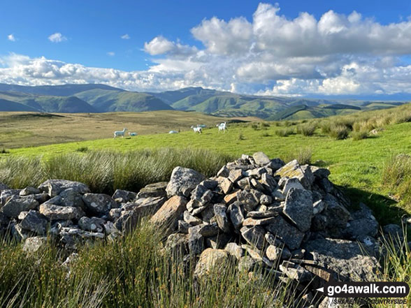 Esgair Ddu (Cambrian Mountains) Photo by Phillip Greenaway