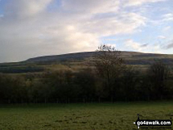 Walk ny186 Aysgarth Falls from Aysgarth - Looking south from dismantled railway on the dge of St Josephs Wood