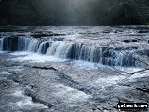 Walk ny186 Aysgarth Falls from Aysgarth - Aysgarth Falls - High Force