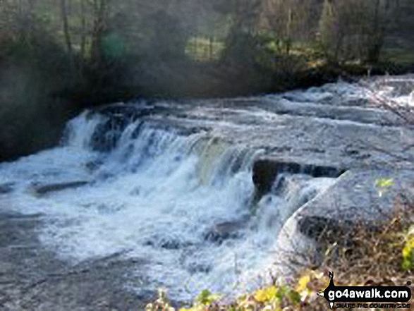 Walk ny186 Aysgarth Falls from Aysgarth - Aysgarth Falls - Middle Force