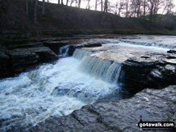 Walk ny186 Aysgarth Falls from Aysgarth - Aysgarth Falls - Low Force