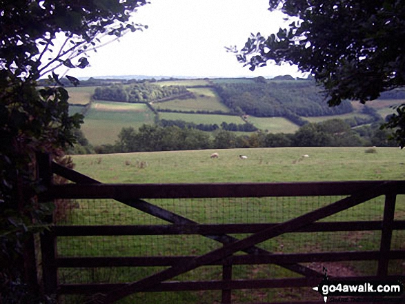 The Somerset countryside from Hadborough Plantation