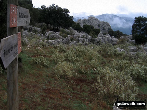 Near the top of Sierra Libar - a wonderful ascent! - on the southern end of the GR7