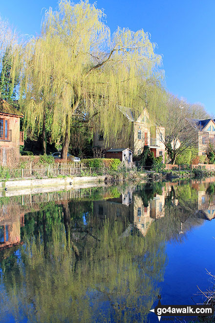 Walk ha111 Cheesefoot Down from Winchester - The Itchen Navigation in Winchester