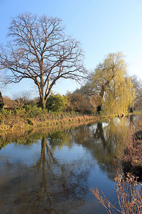 Walk ha111 Cheesefoot Down from Winchester - The Itchen Navigation near Winchester