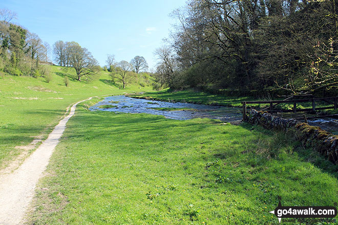 Walk d152 Monyash, Youlgreave, Bradford Dale, Middleton-by-Youlgreave and Kenslow Knoll from Sparklow, Hurdlow - The path beside the River Bradford in Bradford Dale, Youlgreave