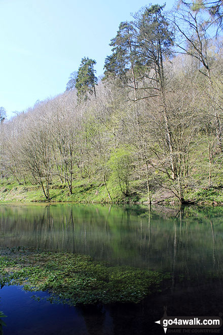 Walk d295 Bradford Dale, Long Dale, Gratton Dale and  Elton from Youlgreave - The River Bradford in Bradford Dale, Youlgreave