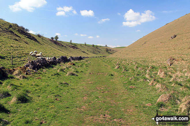 Walk d146 The High Peak Trail and Kenslow Knoll from Middleton-by-Youlgreave - Long Dale