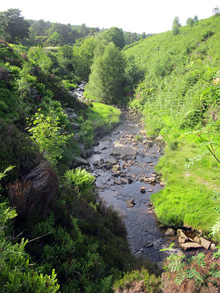 Walk d221 Shining Tor and Windgather Rocks from Errwood Reservoir, The Goyt Valley - Goyt's Clough