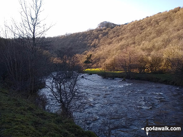 Walk d206 Monsal Dale and Ashford in the Water from Bakewell - The River Wye in Monsal Dale