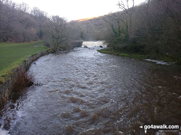 Walk d206 Monsal Dale and Ashford in the Water from Bakewell - Approaching the weir on the River Wye in Monsal Dale