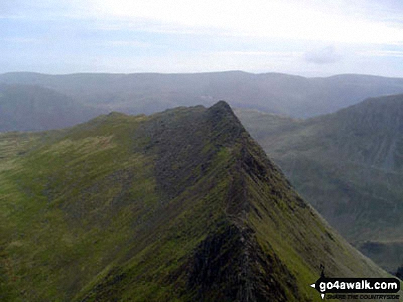 Walk c427 Helvellyn via Striding Edge from Patterdale - The famous view of Striding Edge from Helvellyn