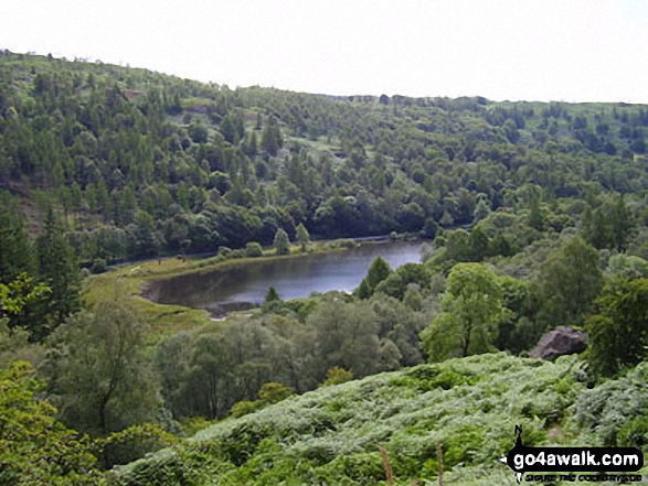 Yew Tree Tarn