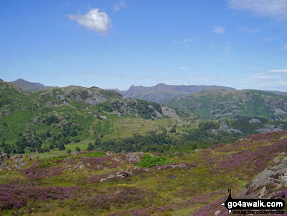 The Langdale Pikes from Holme Fell