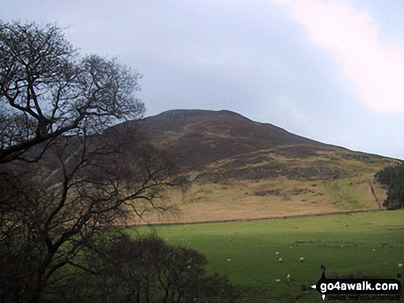 Mellbreak from near Maggie s Bridge, Loweswater