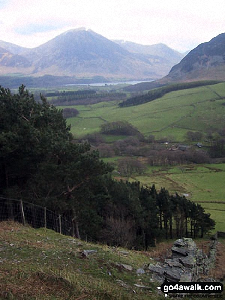 Grasmoor and Crummock Water from Holme Wood above High Nook Farm